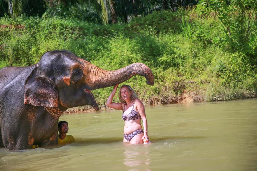 Khao Lak: Khao Sok National Park Overnight Treehouse Trip - From Khao Lak to Khao Sok: Why This Overnight Hits Different
