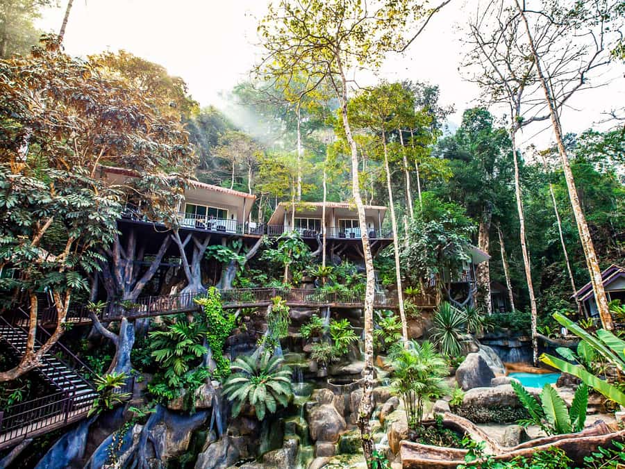 Khao Lak: Khao Sok National Park Overnight Treehouse Trip - The Elephant Sanctuary Segment: How to Make It Comfortable and Meaningful