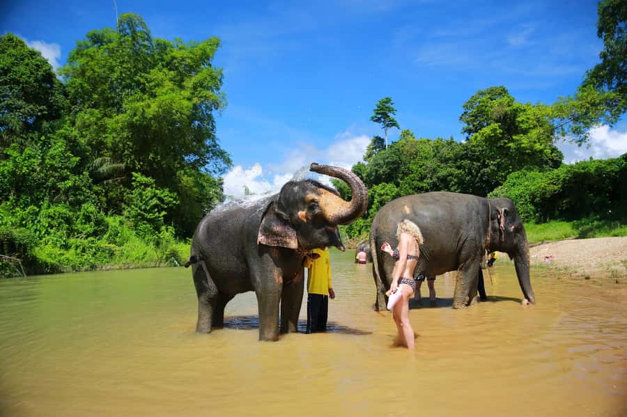 Khao Lak: Khao Sok National Park Overnight Treehouse Trip - Price and Value: Is $257 Worth It?