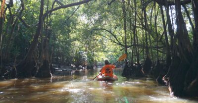 Khao Lak: Little Amazon Canoe Ride & Tam Nang Waterfall Tour - Si Phang-nga National Park and Tam Nang Waterfall: swimming with fish and a real rainforest reset