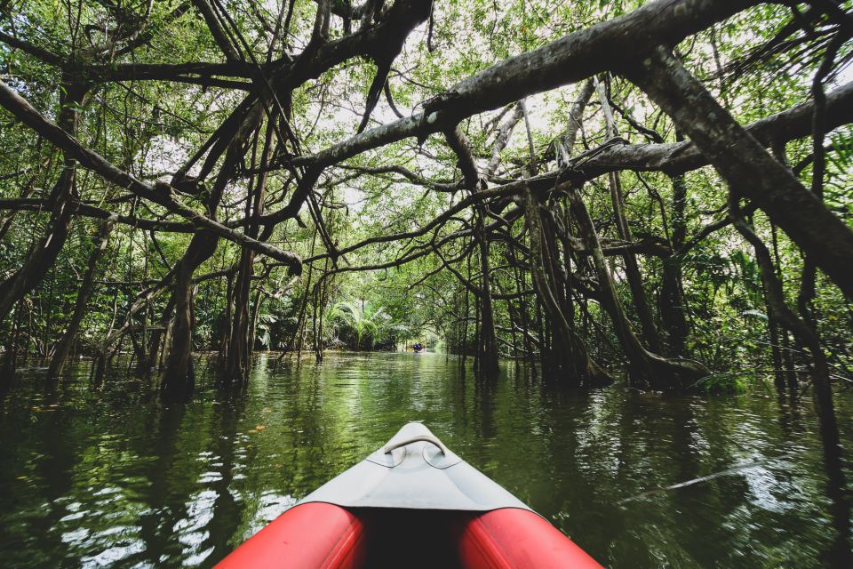 Khao Lak: Little Amazon Canoe Ride & Tam Nang Waterfall Tour - Small group, English guide, and what’s actually included in the $61