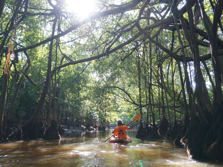 Khao Lak: Little Amazon Canoe Ride & Tam Nang Waterfall Tour - What to bring for jungle + swim: make it easy on yourself