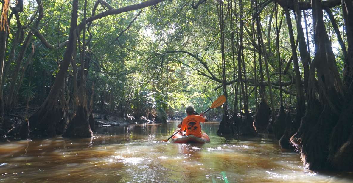 Khao Lak: Little Amazon Canoe Ride & Tam Nang Waterfall Tour - Si Phang-nga National Park and Tam Nang Waterfall: swimming with fish and a real rainforest reset