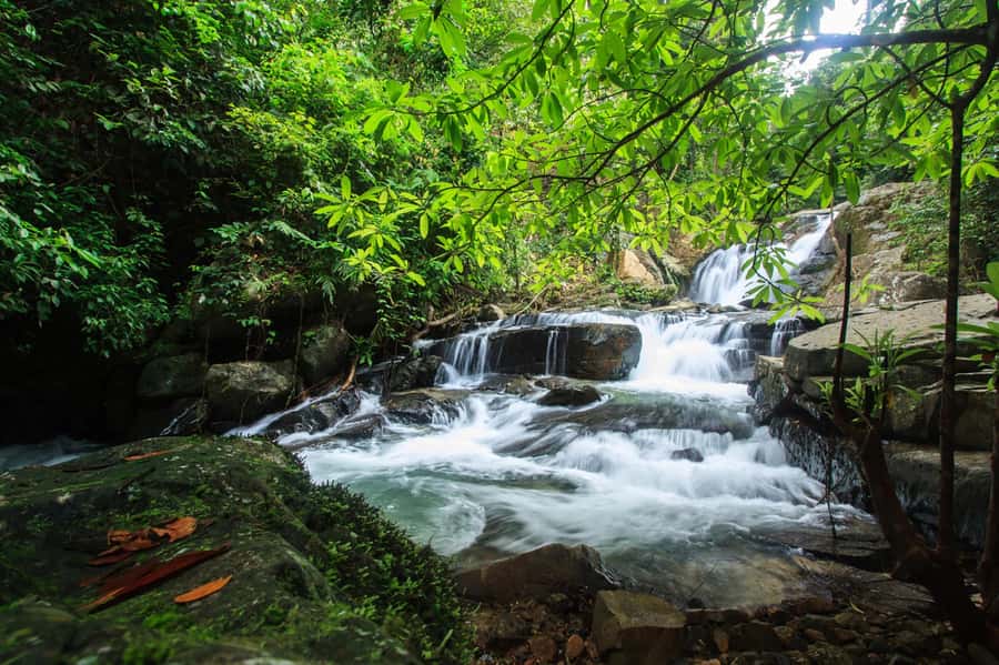 Khao Lak: Off-Road Jungle Full-Day Jeep Tour with Lunch - 5 things that make this Khao Lak jeep-and-canoe day worth it