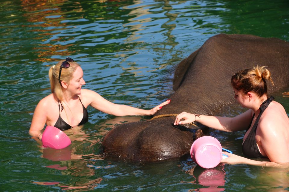 Khao Lak: Rafting, Elephant Bathing & Sea Turtle Center Tour - Lunch by the river: where the day refuels