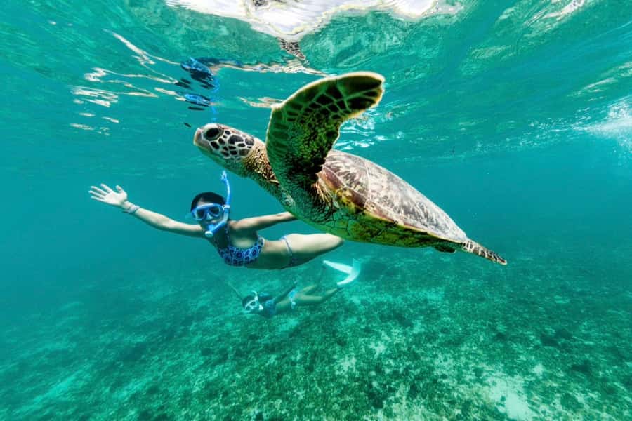 Khao Lak: Similan Islands Snorkeling Day Trip w/Meals - Health and safety fit: who should consider skipping this speedboat day