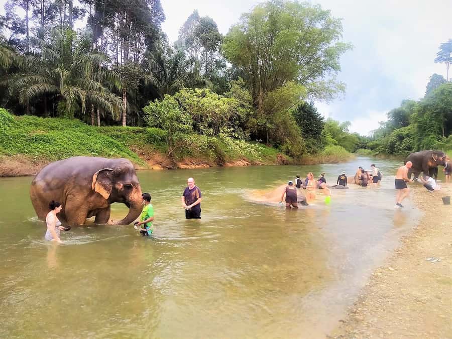 Khao Sok: Elephant Rescue Center with Lunch & Bamboo Rafting - What to bring for a wet, active day in Khao Sok