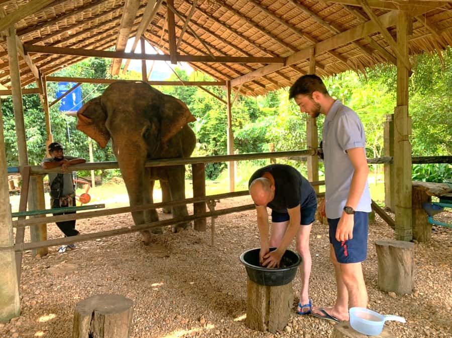 Khao Sok: Elephant Rescue Center with Lunch & Bamboo Rafting - Why the mahout-led work feels more meaningful than a short encounter