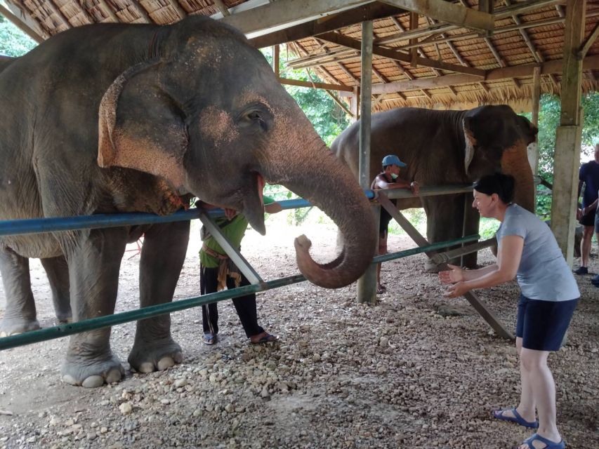 Khao Sok: Elephant Rescue Center with Lunch & Bamboo Rafting - Bamboo rafting on the Sok River: slow paddling with mountain views