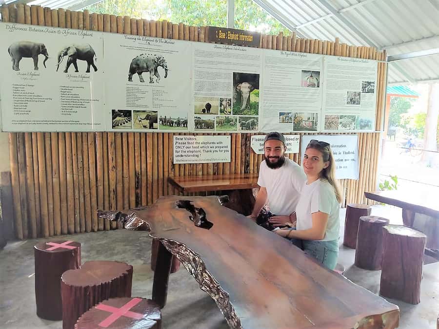 Khao Sok: Elephant Rescue Center with Lunch & Bamboo Rafting - Temple and monkey-spotting, plus a waterfall finish