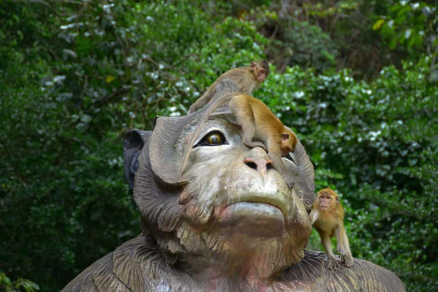 Khao Sok: Elephant Rescue Center with Lunch & Bamboo Rafting - What the small group size changes (and why it affects value)