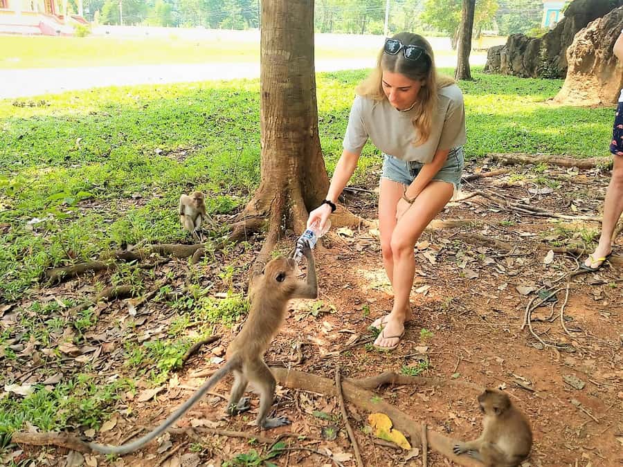 Khao Sok: Elephant Rescue Center with Lunch & Bamboo Rafting - Price of $84: what you actually get for your money