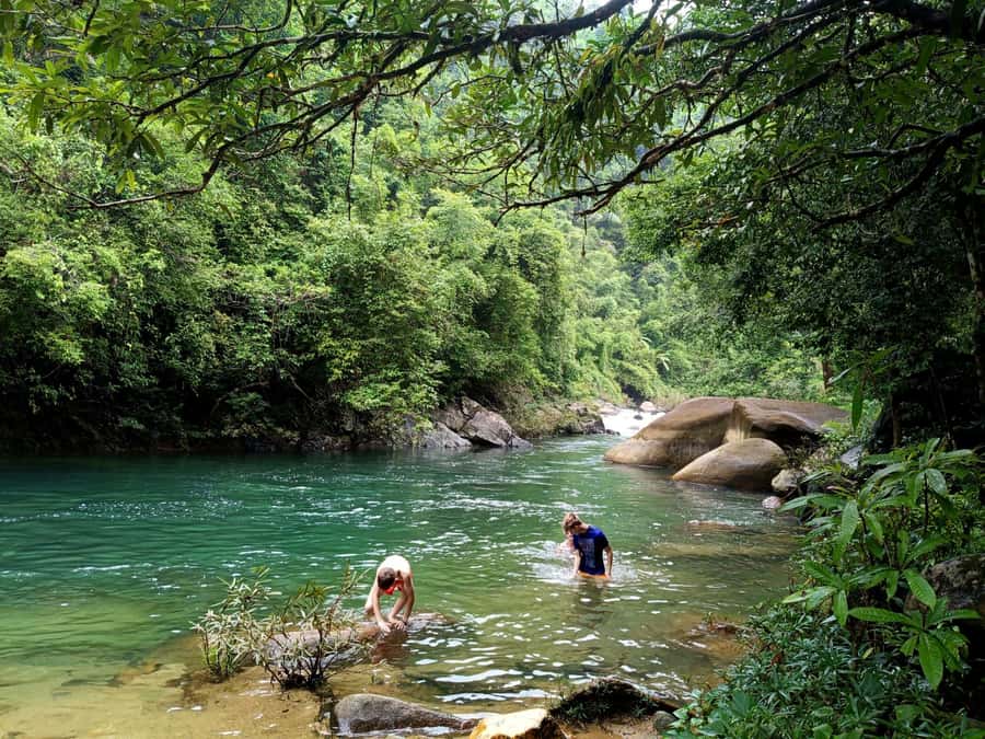 Khao Sok: Private Day Trekking, Jungle Dinner & Night Safari - Key Things That Make This Tour Worth Your Time