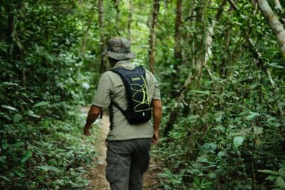 Khao Sok: Private Day Trekking, Jungle Dinner & Night Safari - Pickup at Khlong Sok Around 1:30 PM, Then Into the Park