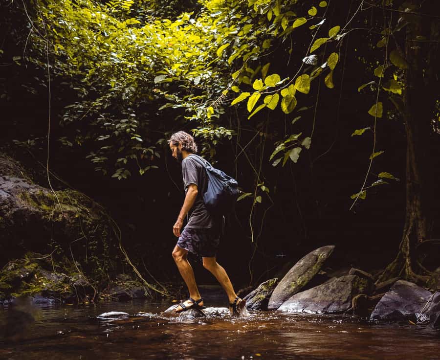 Khao Sok: Private Day Trekking, Jungle Dinner & Night Safari - Night Safari Walk: 2.5 Hours of Darkness and Nocturnal Search