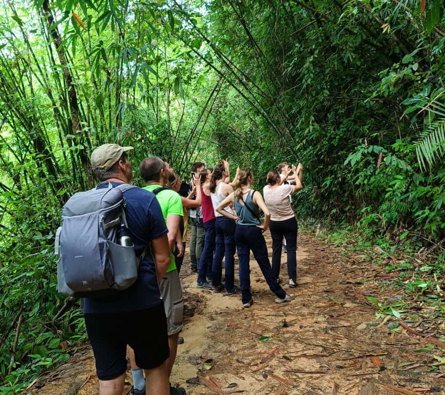 Khao Sok: Private Day Trekking, Jungle Dinner & Night Safari - What Wildlife Encounters Look Like Here (And What They Don’t)