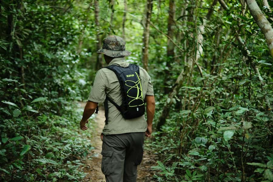 Khao Sok: Private Day Trekking, Jungle Dinner & Night Safari - Pickup at Khlong Sok Around 1:30 PM, Then Into the Park