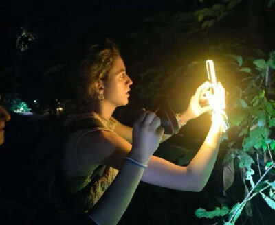 Khao Sok: Private Night Safari Adventure w/ Hotel Transfer - The 150-Minute Adventure: What Happens After Sunset