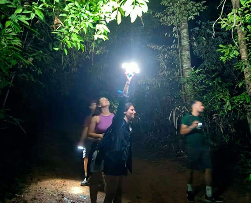 Khao Sok: Private Night Safari Adventure w/ Hotel Transfer - Comfort Notes: What to Bring for a Night Walk