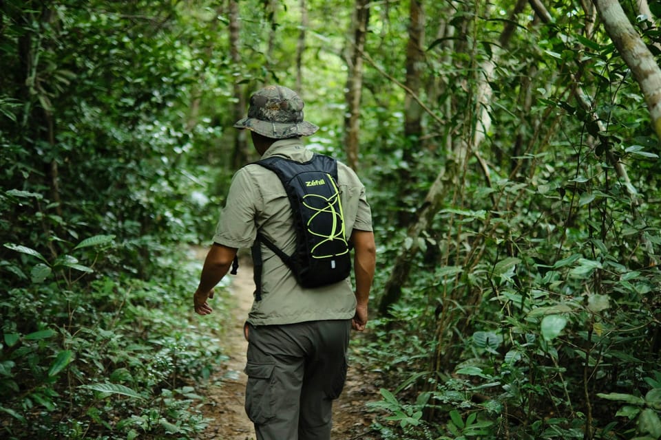 Khao Sok: Private Waterfalls and Wildlife Half-Day Trek - Should you book this private waterfalls and wildlife half-day trek?
