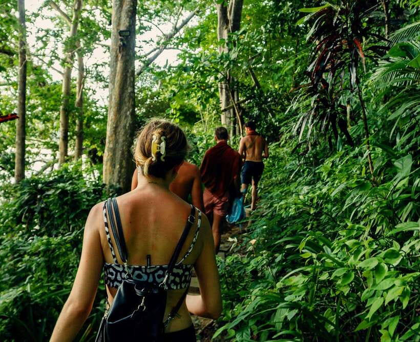 Khao Sok: Private Waterfalls and Wildlife Half-Day Trek - Guided rainforest trekking: how you actually find monkeys, gibbons, and more
