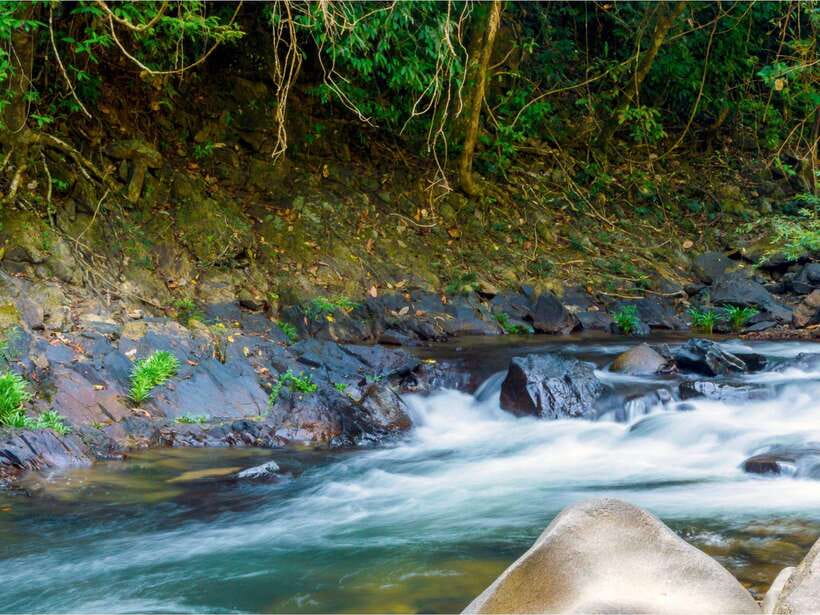 Khao Sok: Private Waterfalls and Wildlife Half-Day Trek - Bang Hua Raet and Wing Hin: the waterfall swim that turns the whole trek