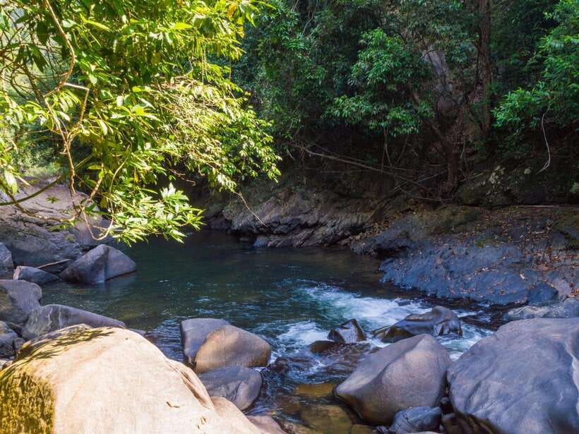 Khao Sok: Private Waterfalls and Wildlife Half-Day Trek - What to bring: your checklist for comfort in Khao Sok