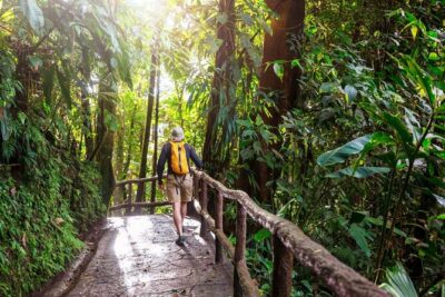 Khao Yai National Park Full-Day From Bangkok - Including Ticket - Haew Suwat Waterfall: Steps, Viewpoints, and Photo Stops