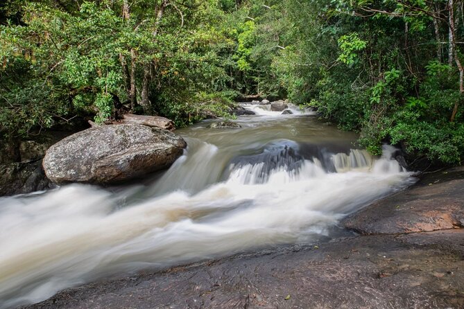 Khao Yai National Park Full-Day From Bangkok - Including Ticket - Food, Water, and Staying Comfortable in Humid Jungle Heat