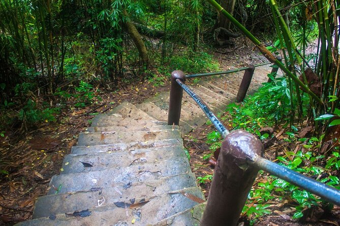 Khao Yai National Park Full-Day From Bangkok - Including Ticket - Guides Matter: Why People Mention Names Like Bond and Tanya
