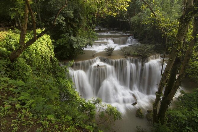 Khao Yai National Park Full-Day From Bangkok - Including Ticket - Who Should Book This Tour (and Who Should Think Twice)