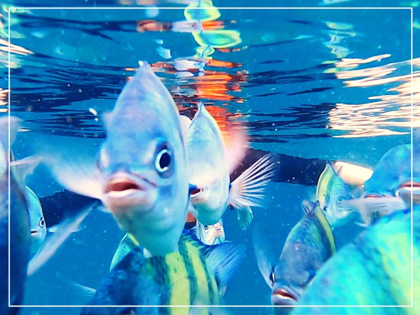 Ko Lanta: 4 Islands Snorkeling Tour by Longtail Boat - When the Emerald Cave is closed for September: Your Plan B