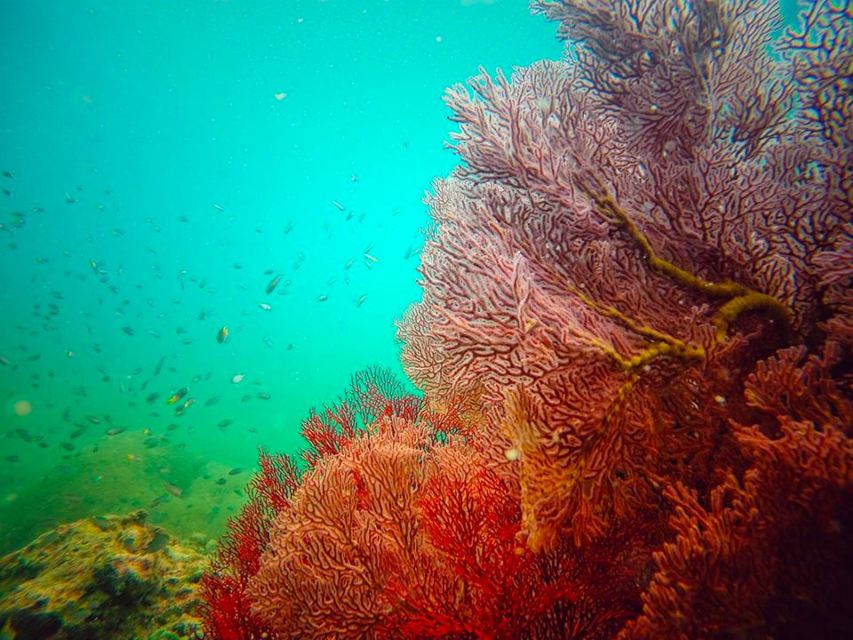 Ko Lanta: 4 Islands Snorkeling Tour by Longtail Boat - Longtail boat reality check: Soaked, shaded, and sometimes bumpy