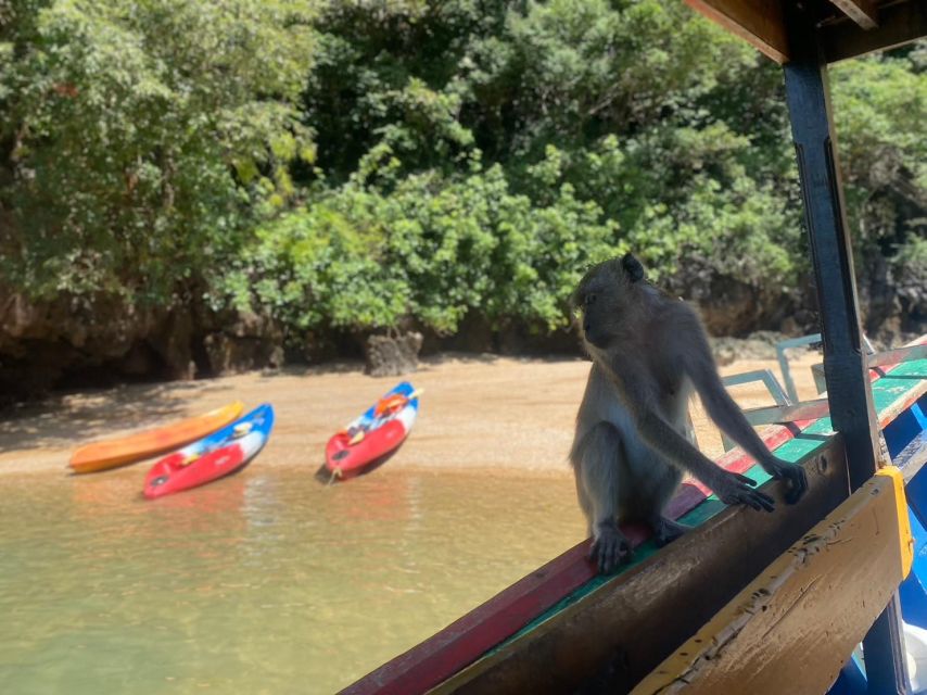 Ko Lanta: Mangrove Kayaking, Ko Talabeng, & Skull Island - Key points to know before you go