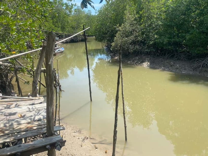 Ko Lanta: Mangrove Kayaking, Ko Talabeng, & Skull Island - Price and value: why $63 for 7 hours can make sense here