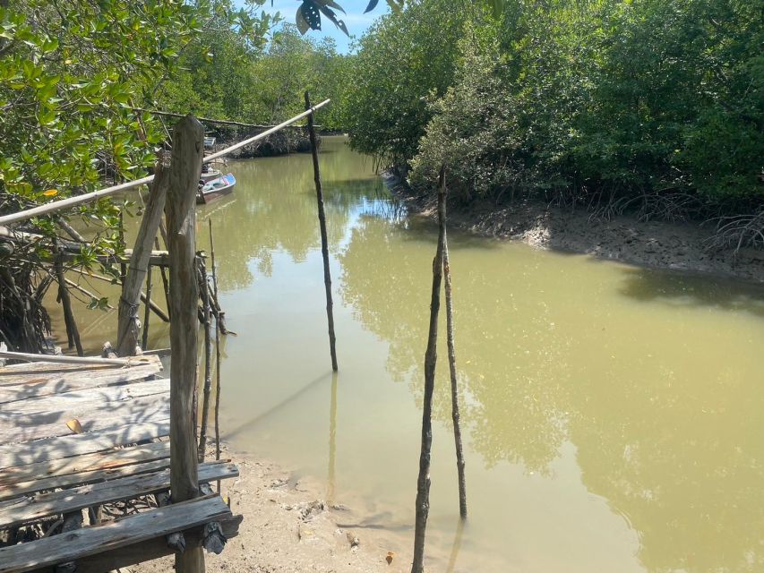Ko Lanta: Mangrove Kayaking, Ko Talabeng, & Skull Island - Small-group energy and guide style: what you’ll remember