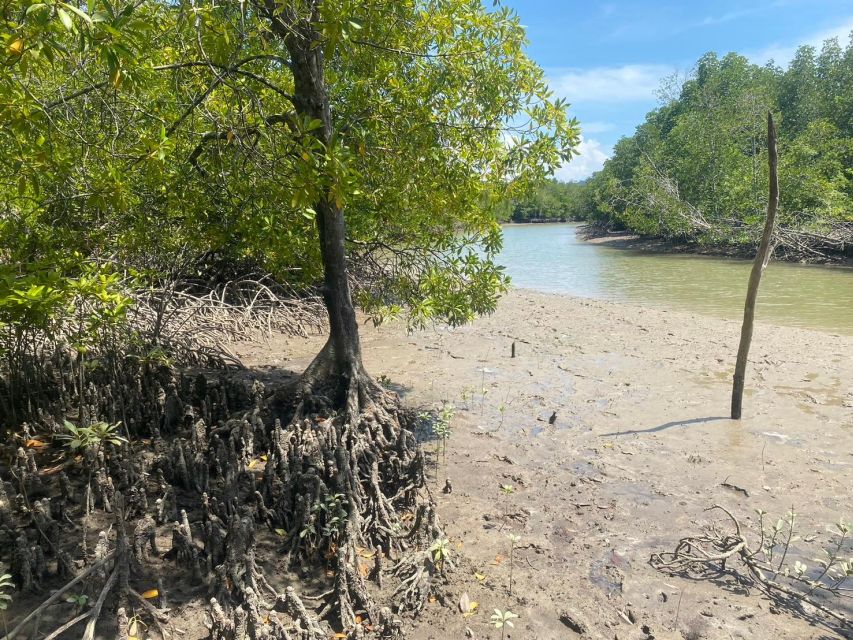 Ko Lanta: Mangrove Kayaking, Ko Talabeng, & Skull Island - What to bring (and what not to bring)