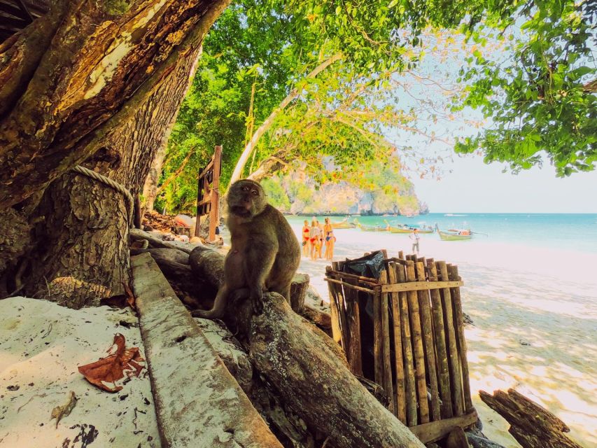 Ko Lanta: Phi Phi Day Trip by Speed Boat - Start Time, Pickup Reality, and Getting to the Boat