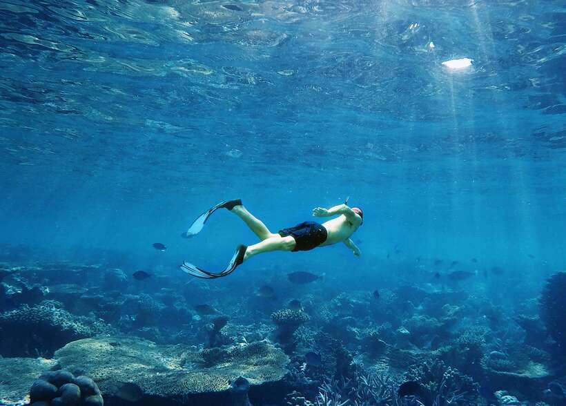 Ko Lanta: Snorkeling Adventure Tour to Koh Rok and Koh Haa - Key things that make this tour worth your time