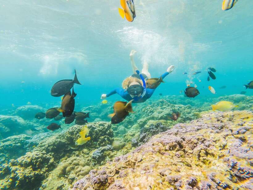 Ko Lanta: Snorkeling Adventure Tour to Koh Rok and Koh Haa - Who this tour is best for