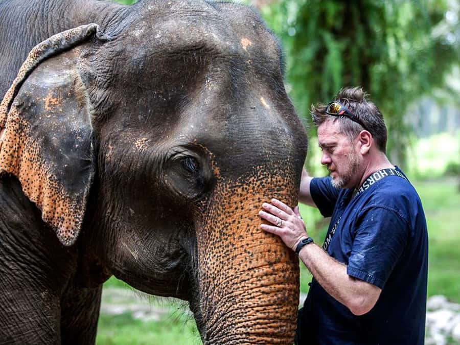 Ko Lanta Yai: Half-Day Ethical Elephant Sanctuary Tour - Bananas, introductions, and meeting the elephants first