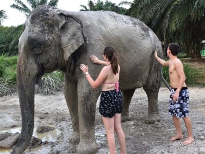 Ko Lanta Yai: Half-Day Ethical Elephant Sanctuary Tour - Pickup timing in Ko Lanta: morning vs afternoon slots