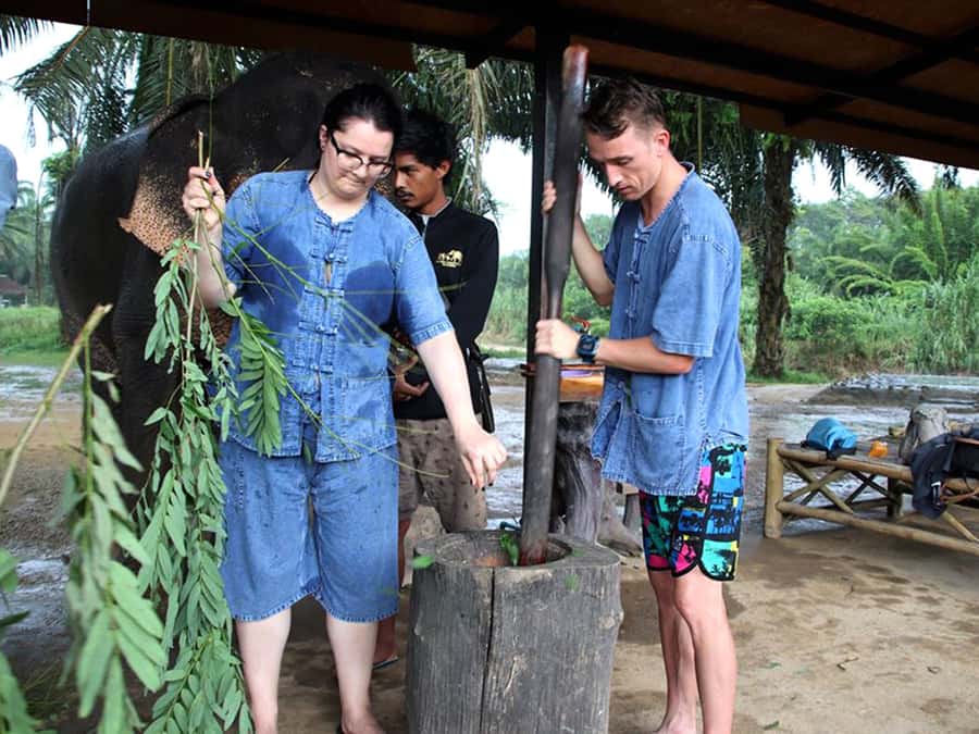 Ko Lanta Yai: Half-Day Ethical Elephant Sanctuary Tour - Herbal medicine making: the science-y part (in a friendly way)