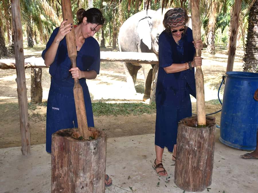 Ko Lanta Yai: Half-Day Ethical Elephant Sanctuary Tour - Eco-paper from elephant dung: which option gets you the hands-on part