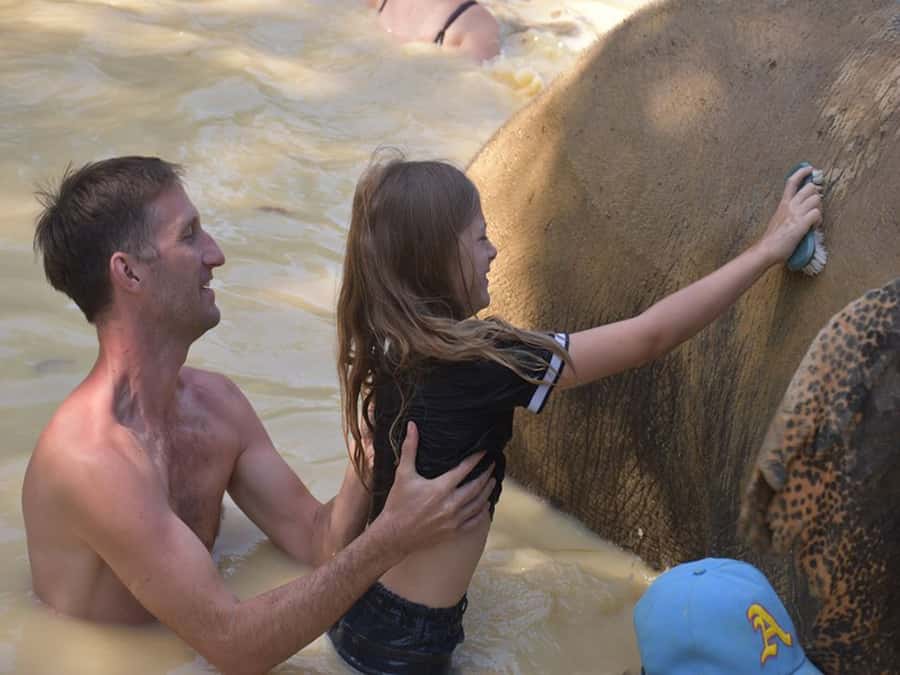 Ko Lanta Yai: Half-Day Ethical Elephant Sanctuary Tour - Price and value: is $78 worth it in Ko Lanta?
