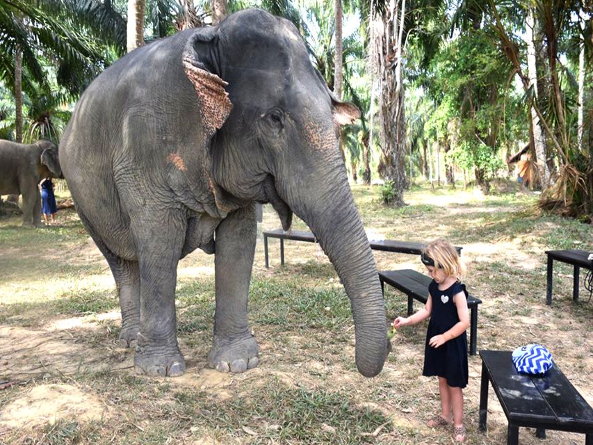 Ko Lanta Yai: Half-Day Ethical Elephant Sanctuary Tour - What to bring so you don’t suffer unnecessarily