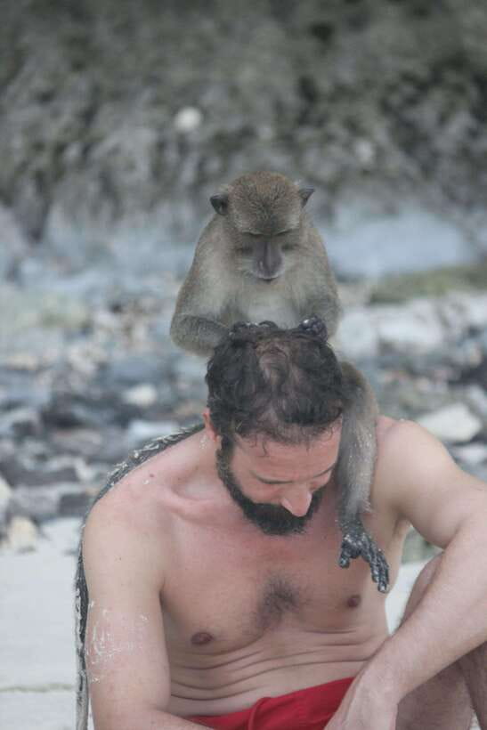 Ko Phi Phi Don: Speedboat Day Trip with Shark Snorkeling - Monkey Beach: quick encounters and the easiest photo stop