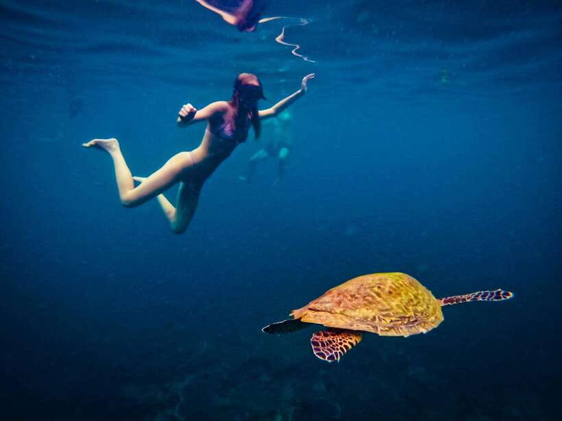 Ko Tao: Late Riser Snorkeling Tour with Lunch and Photos - Koh Nang Yuan: Sandbar Walk, Viewpoint Hike, and Easy Snorkeling