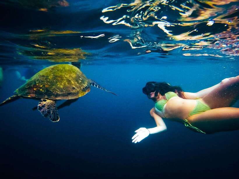 Ko Tao: Late Riser Snorkeling Tour with Lunch and Photos - Aow Leuk: Calm, Clear Water for a More Relaxed Snorkel