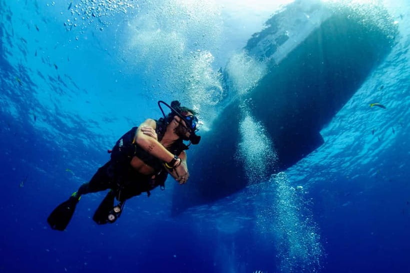 Ko Tao: Try Scuba Diving 1-Day Experience - Marine Life Around Ko Tao: What to Look For on Your First Day